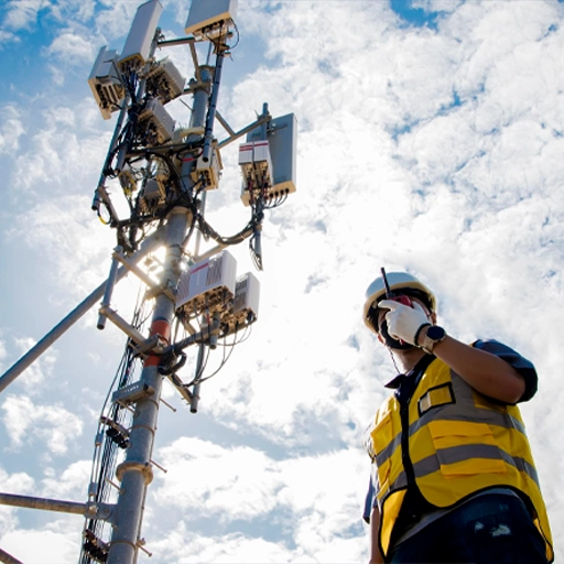 Tavo Group sobre nosotros